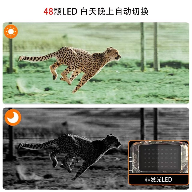 عرض خاص DL001 كاميرا صيد لتتبع - مراجعة Action Camera Optical Image Stabilization وسعره