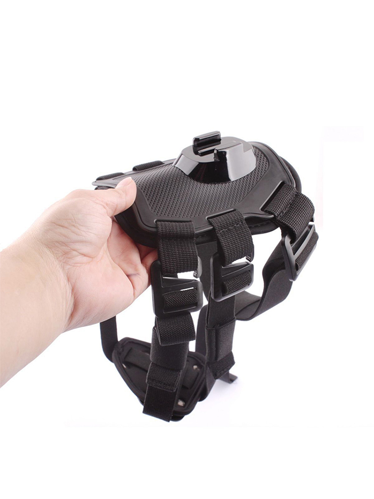 الكلب تسخير شريط للصدر قاعدة ت - مراجعة Action Camera Chest Strap Harness Mount وسعره