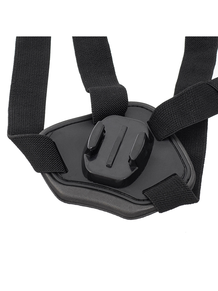 الكلب تسخير شريط للصدر قاعدة ت - مراجعة Action Camera Chest Strap Harness Mount وسعره
